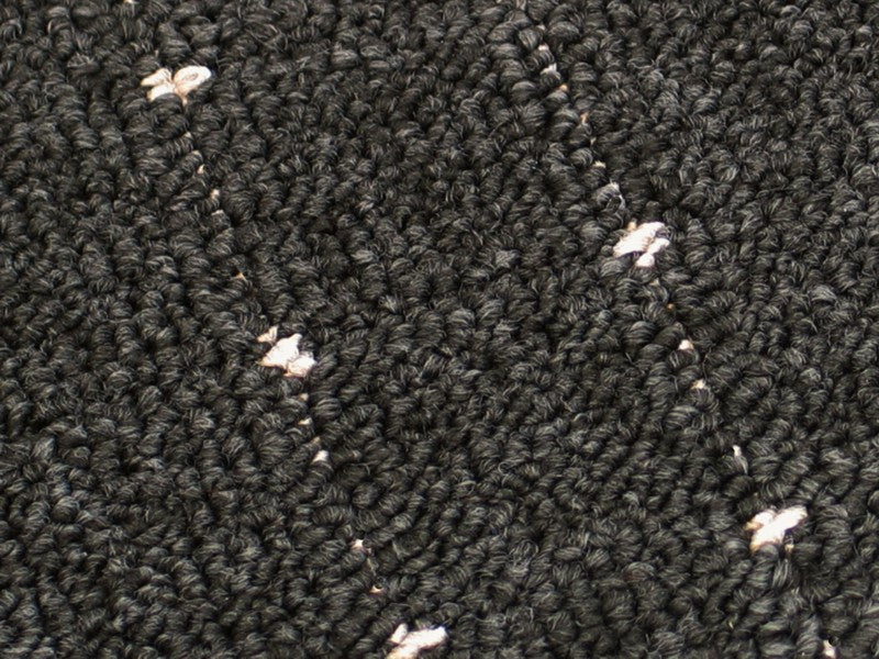 Stufenmatte Speedy anthrazit 65x23cm halbrund